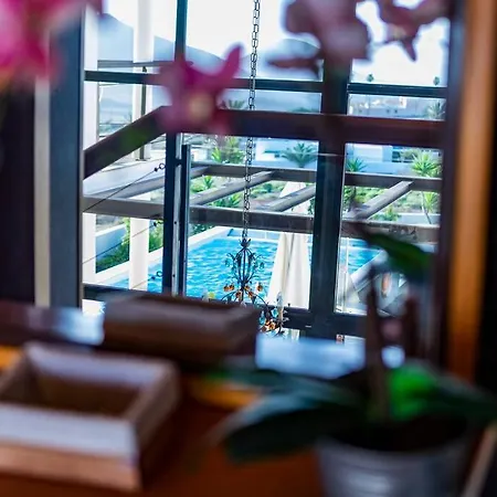 Casa Erizo Adults Only Nazaret